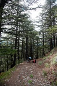 Cycling from Urni to Kalpa