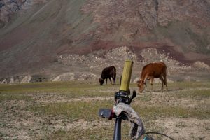 Camping in Zanskar