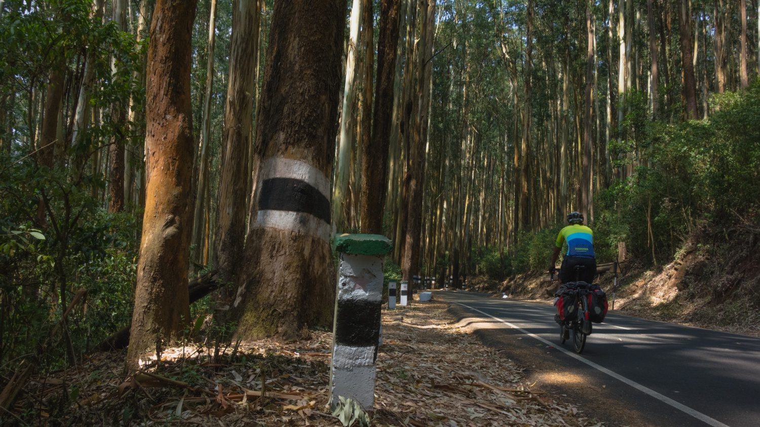 Cycling in the Nilgiris