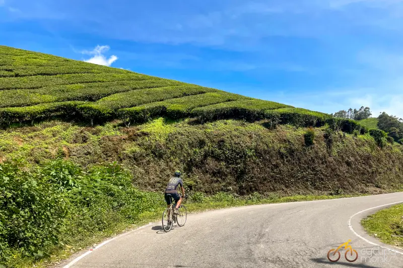 cycling in munnar