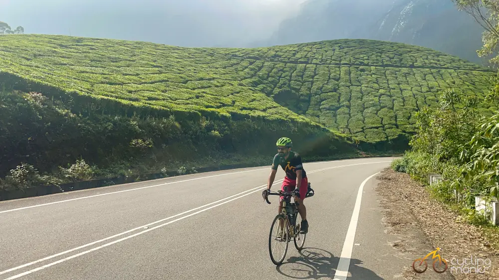 cycling through munnar tea estates