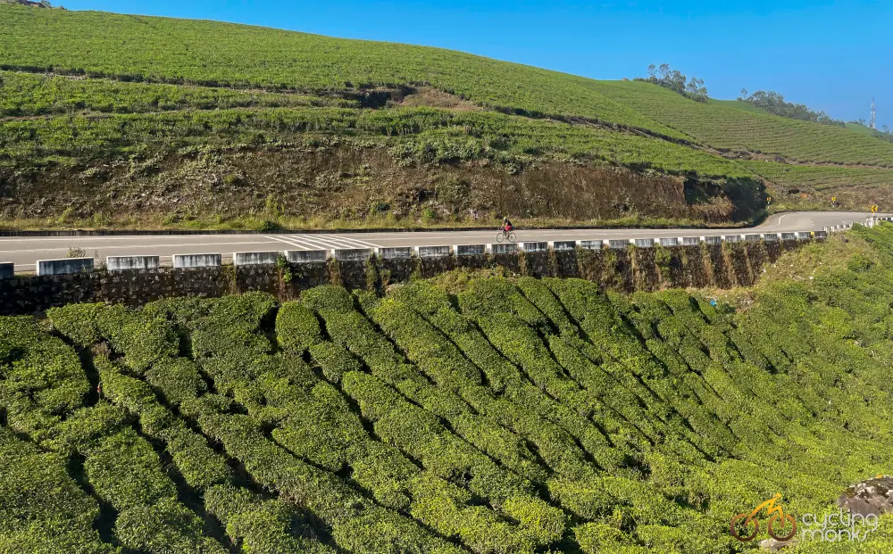 cycling near Munnar